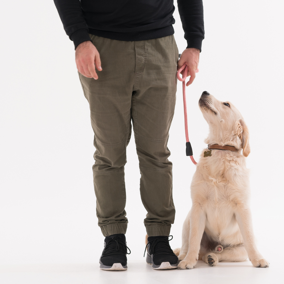 10 Dog Breeds That Are Super Clingy With Their Owners