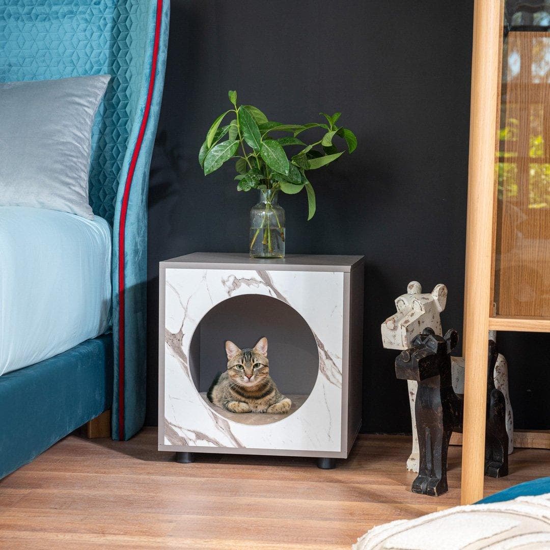 Cat House Kos