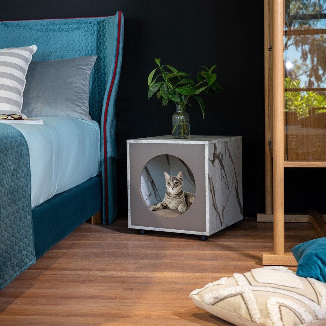 Cat House Kos