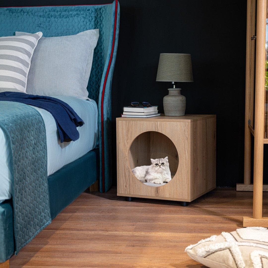 Cat House Kos