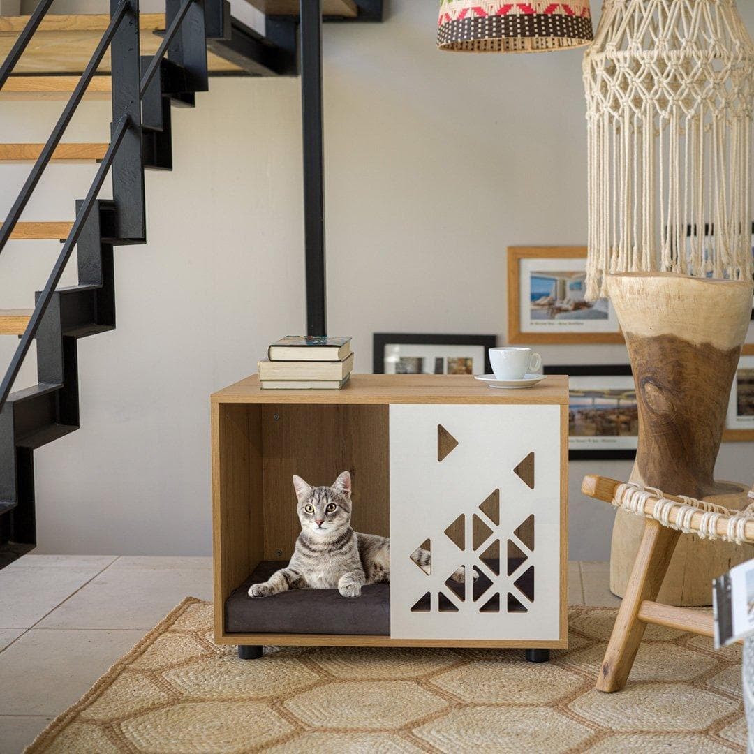 Cat House Ibiza
