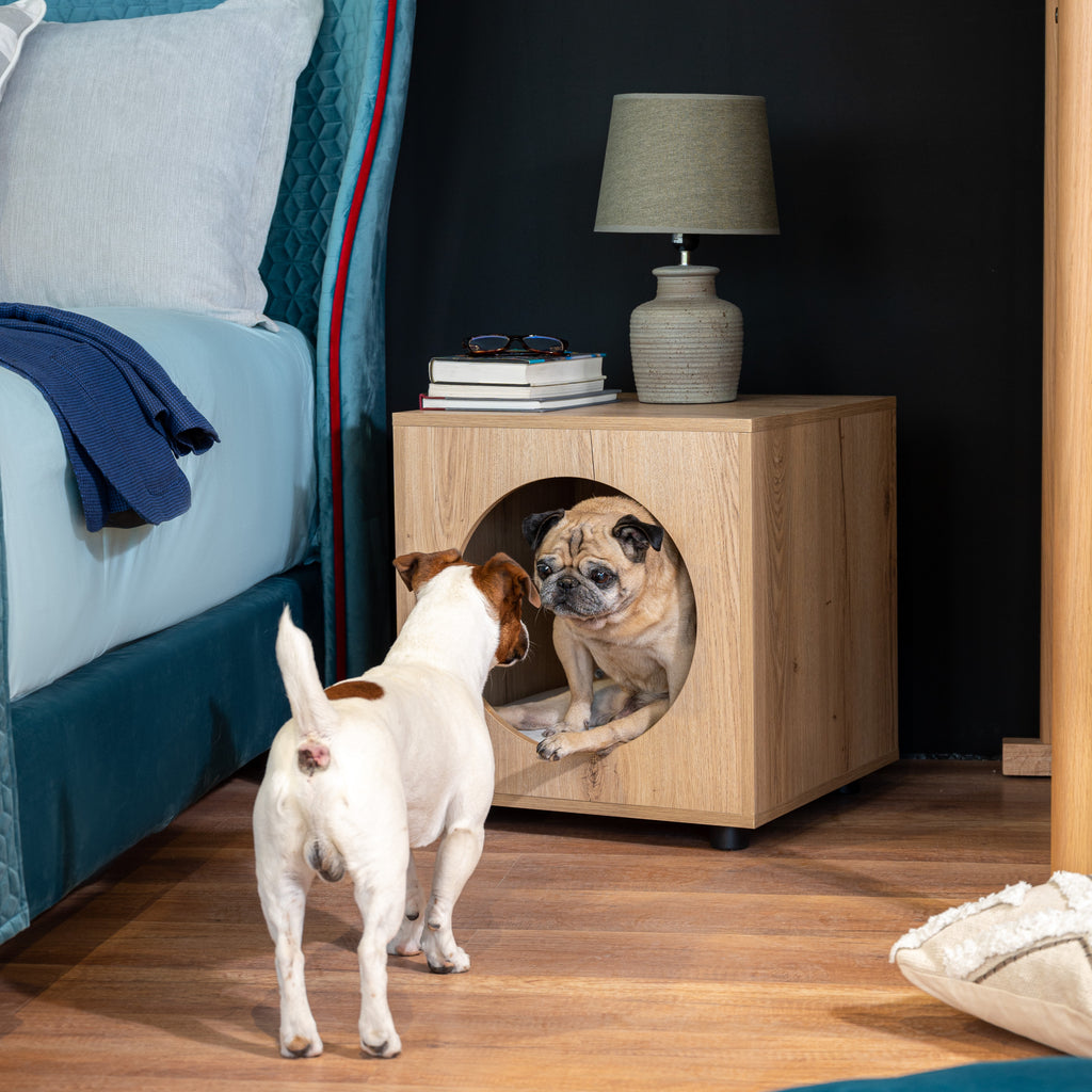 Consejos para elegir la casa para perros adecuada