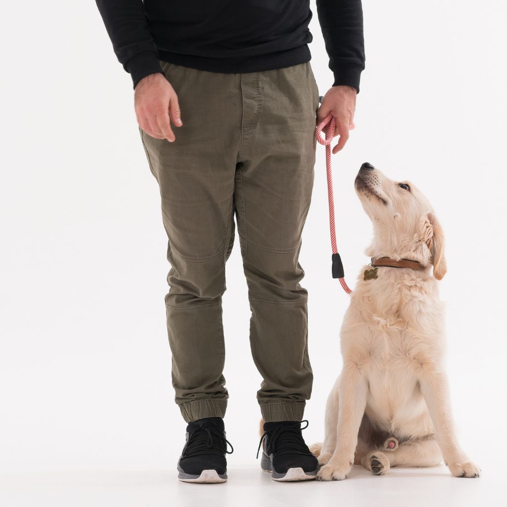 10 razas de perros que son muy pegajosos con sus dueños