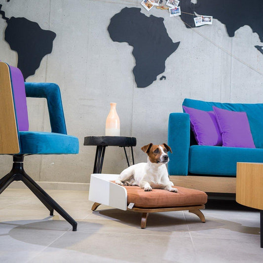 Dog Bed Milos - Dog Beds - Luxury Dog House - ewoodcollection.com